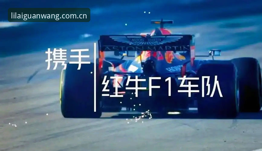 5个步骤解决利来体育注册入口安装失败问题，提升安装成功率至98%